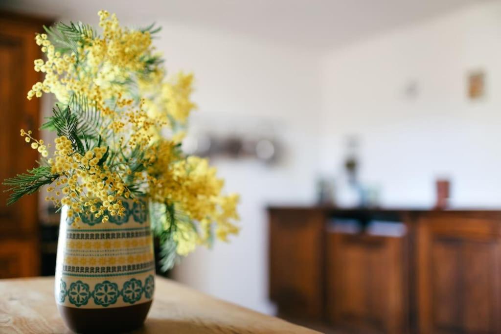 Valbonne Village House With Ac & Sunny Roof Terrace エクステリア 写真